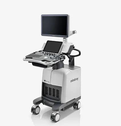 УЗИ аппарат ЕЛС-МЕД EM-80