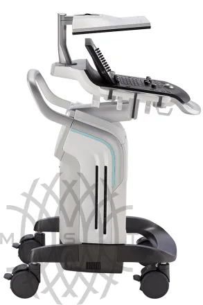 Ультразвковая система GE Versana Premier Platinum