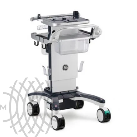 Ультразвуковая диагностическая система GE HealthCare Vivid iQ портативная