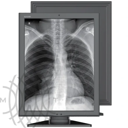 Монитор медицинский Jusha M260G